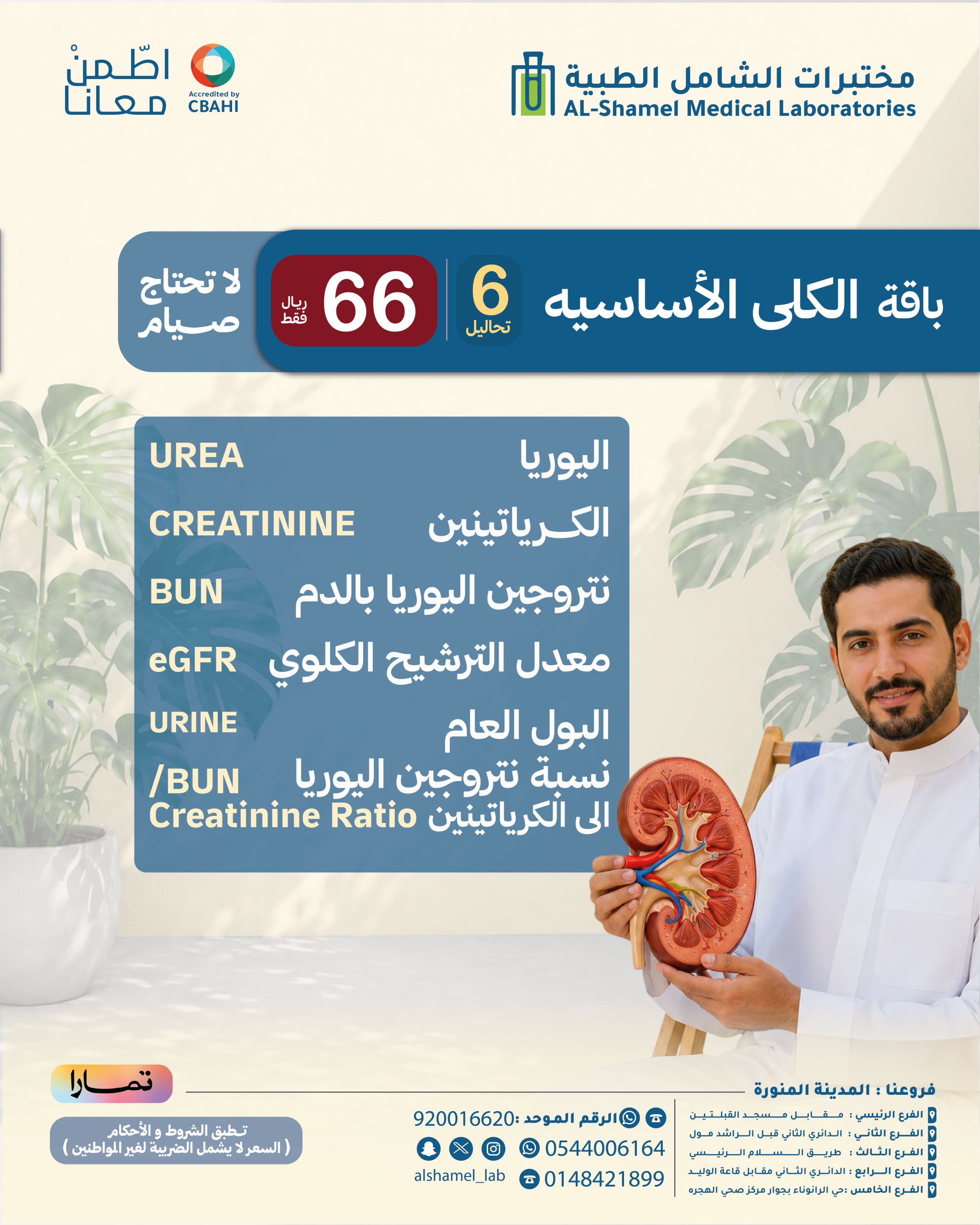 باقة الكلي